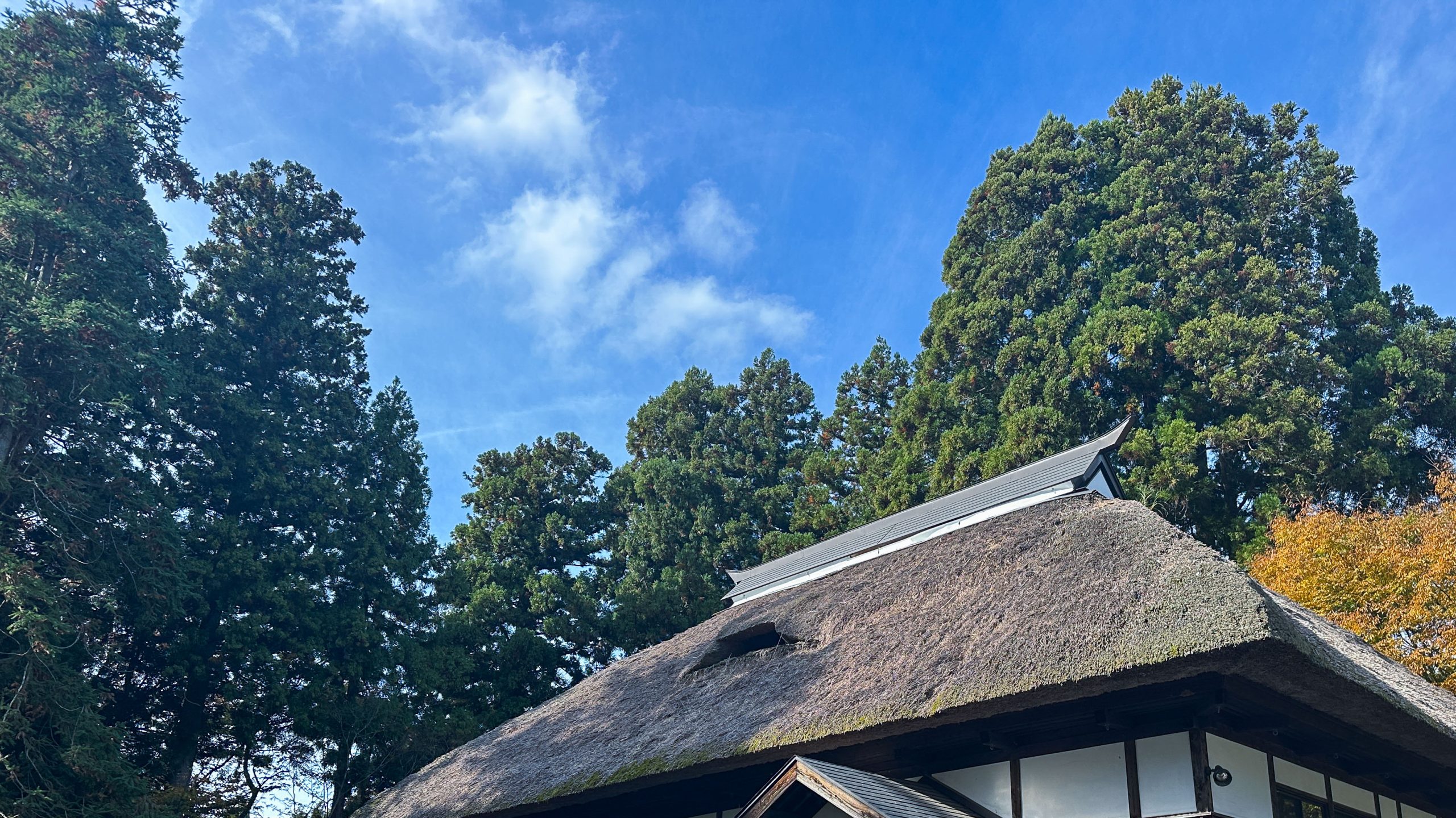 上越　大島庄屋の家